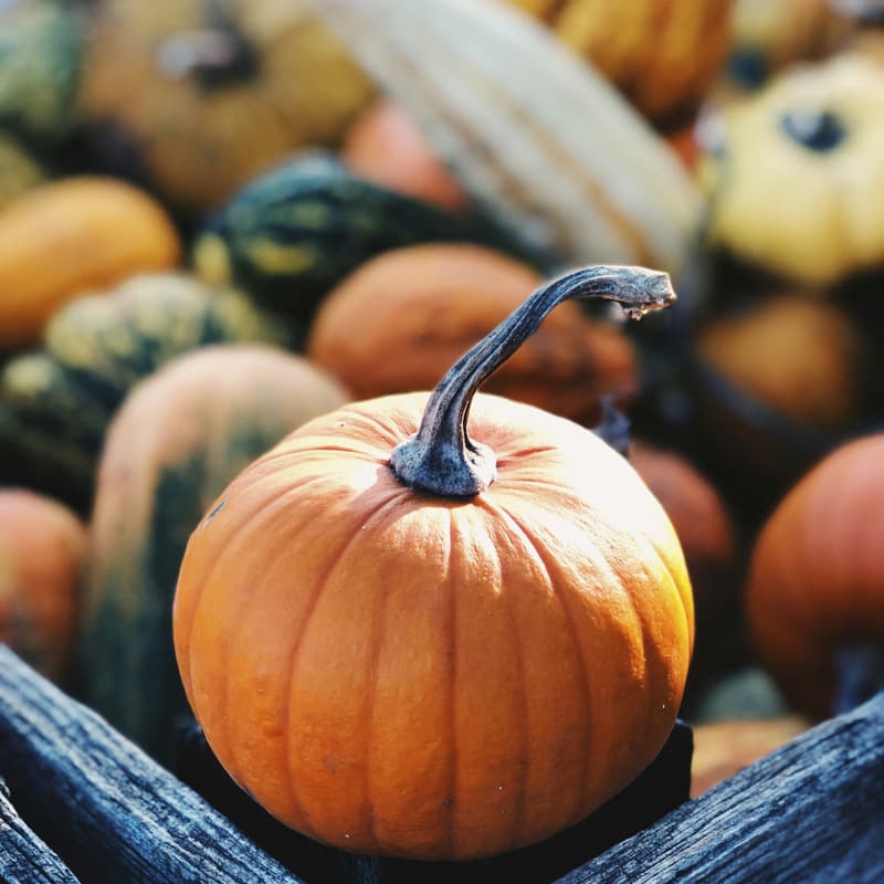 Cover Image for FOHE October Happy Hour