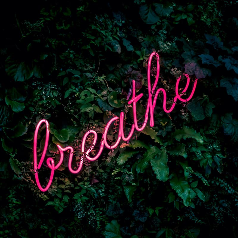 Cover Image for World Psychedelics Day - SHINE & Breathe