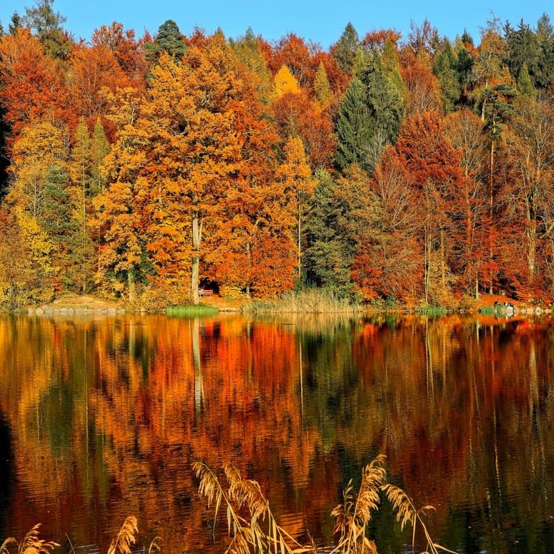 Cover Image for October SCGIS Meet Up
