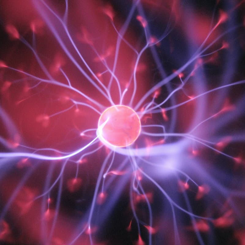 Cover Image for Brains & Paddles 🧠🏓