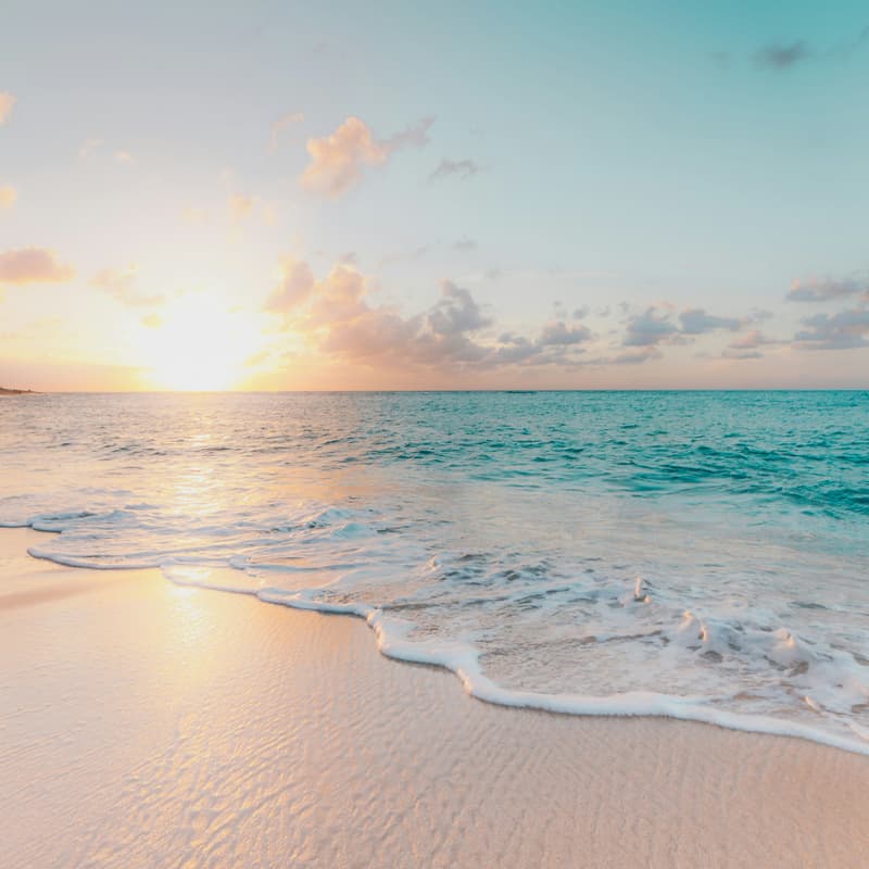 Cover Image for Brother's Beach Day