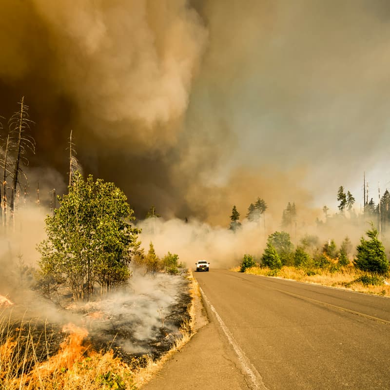 Cover Image for From Coordination to Resilience: Colorado's Wildfire Crisis
