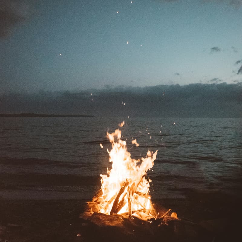 Cover Image for Inter-MSA Bonfire