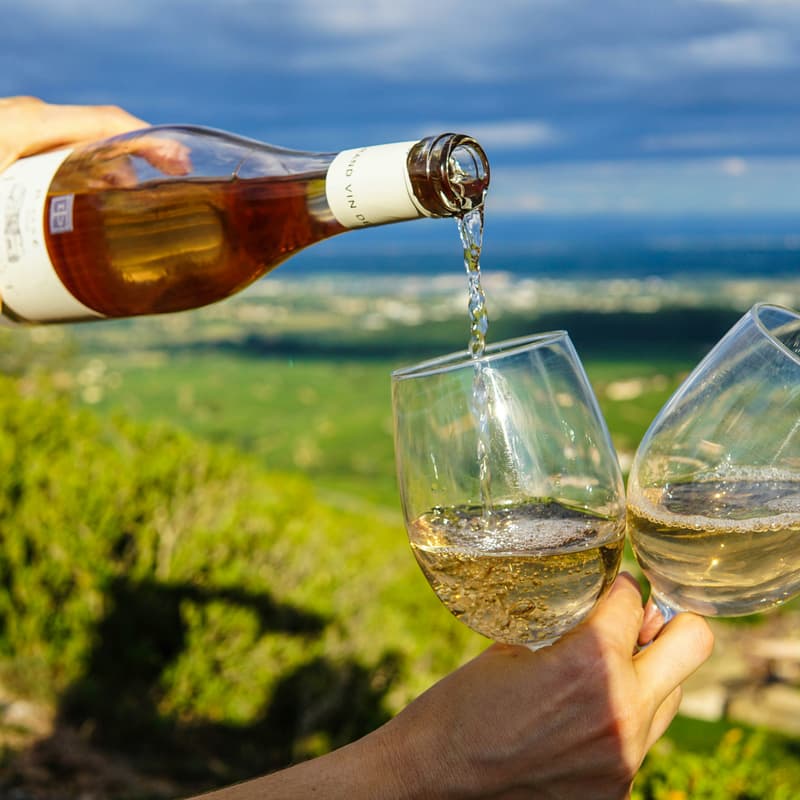 Cover Image for Wine Hike