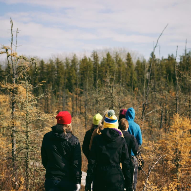 Cover Image for Tommy Thompson Park - Outdoor Volunteer Gardening/Social