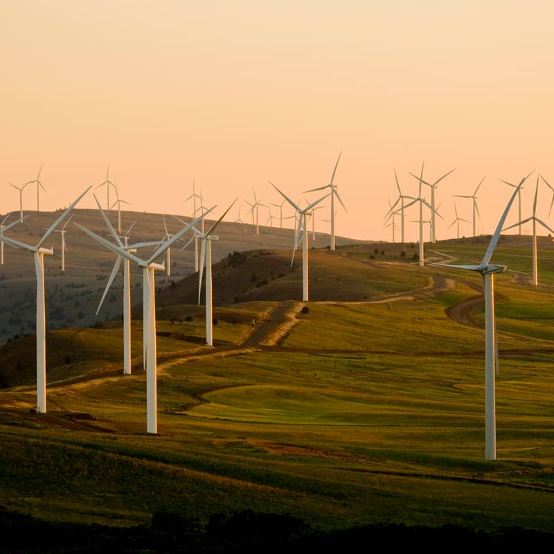 Cover Image for Powering the Cloud Sustainably: Decarbonizing Data Centres through Renewable Energy in India