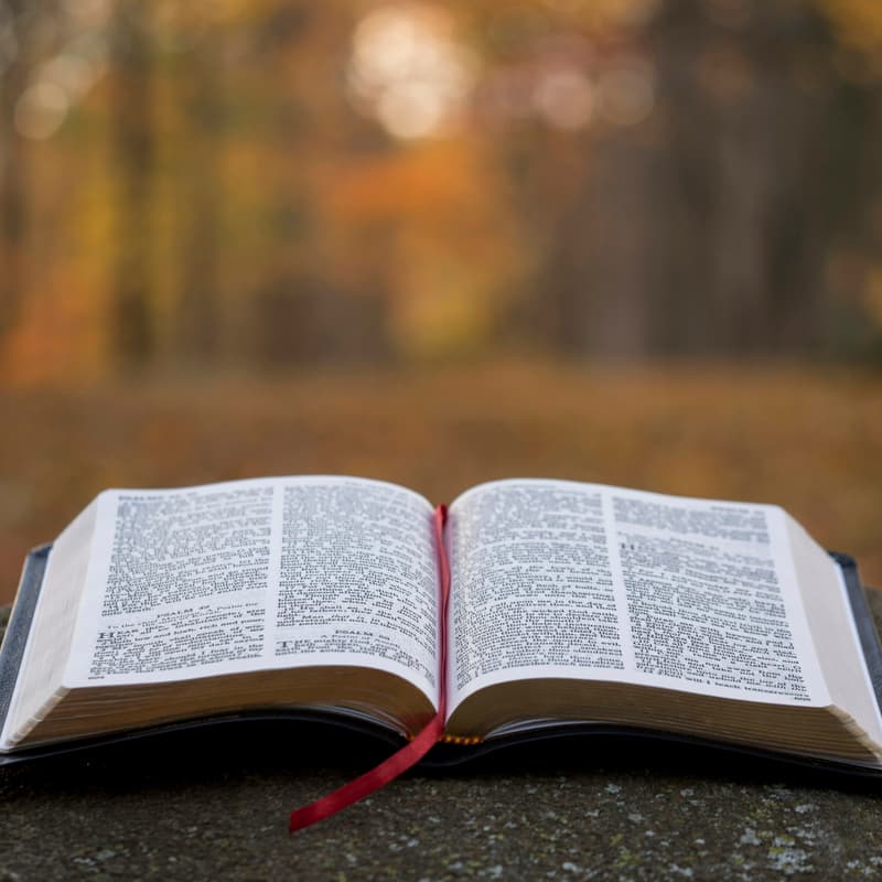 Cover Image for Bible Study