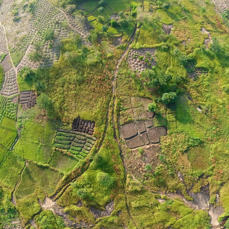 Cover Image for Resilience from the Soil Up: Private Philanthropy & Sustainability Leaders Reception