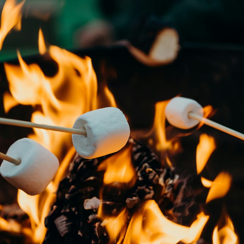 Cover Image for Tending to Your Fire: A Day Retreat at Henry Horton State Park