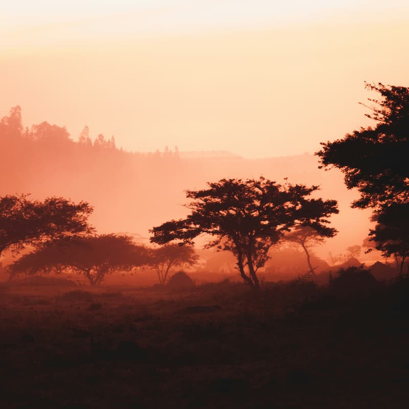 Rwanda Executive Expedition · Luma