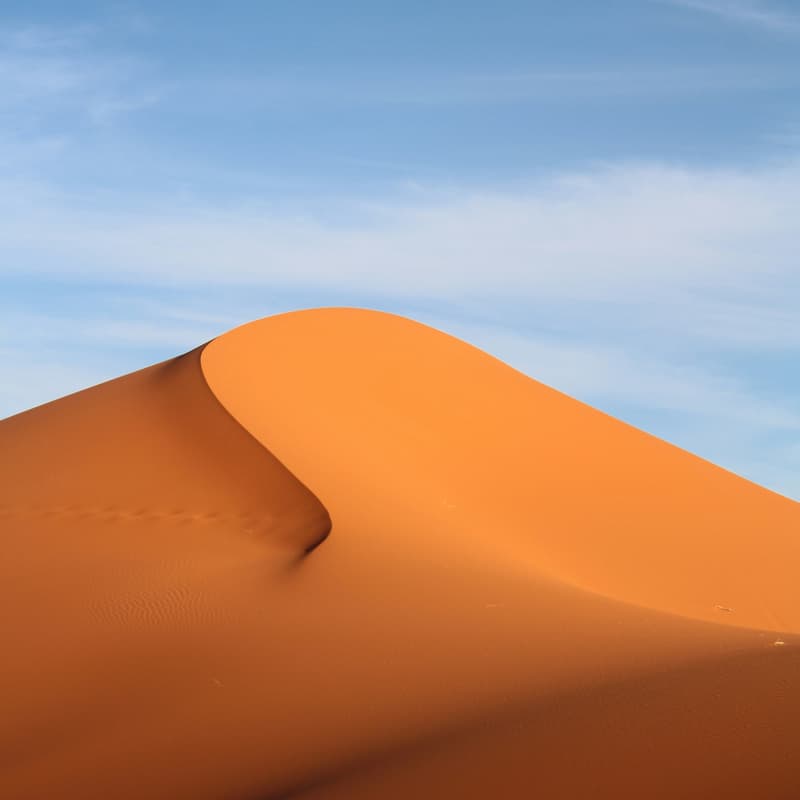 Cover Image for Bits in Bio Dubai Meetup: Exploring Biotech & Business Opportunities