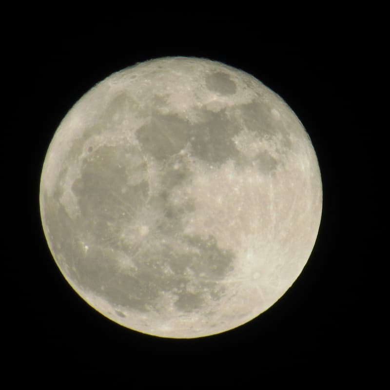 Cover Image for Full moon celebration