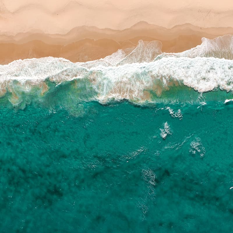 Cover Image for 8Ate Ocean Soirée