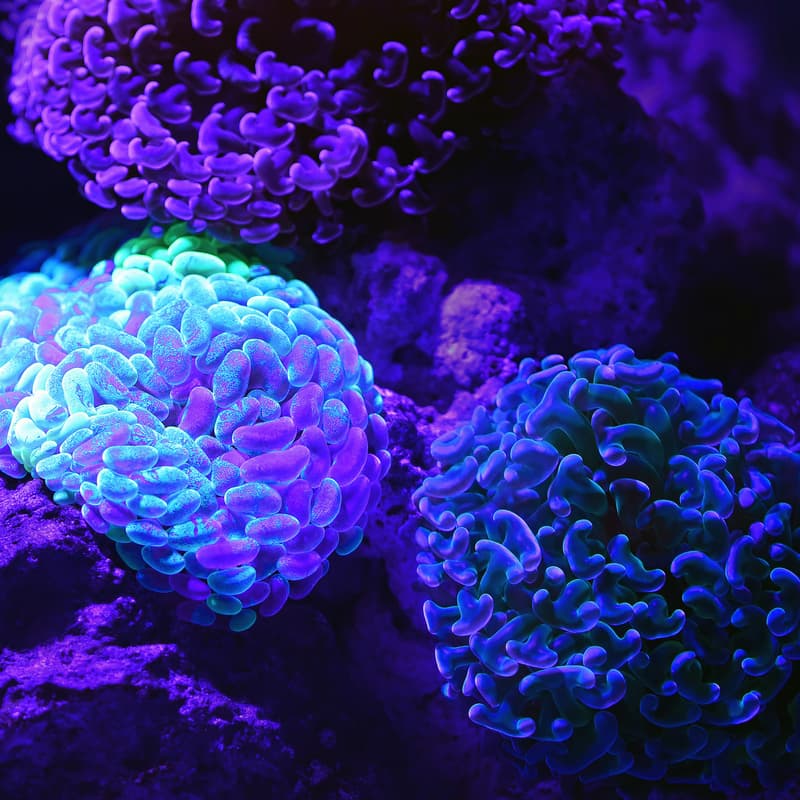 Cover Image for TechBio Toronto Meetup