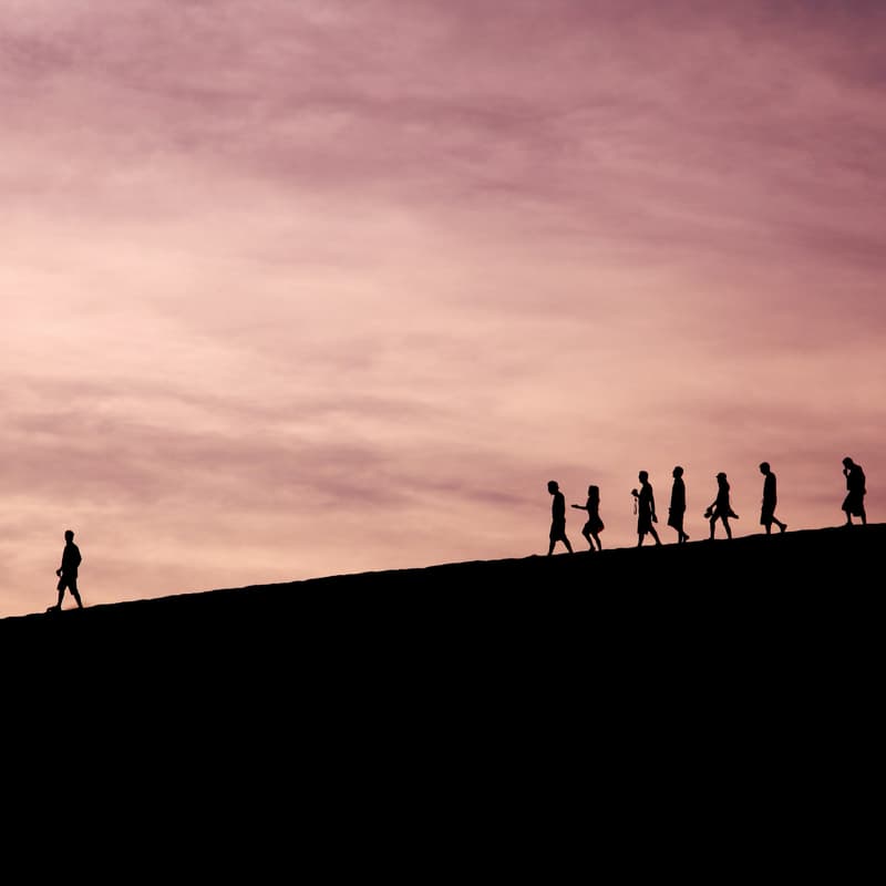 Cover Image for Adaptive Leadership: Building Resilient and Inclusive Teams for Lasting Success