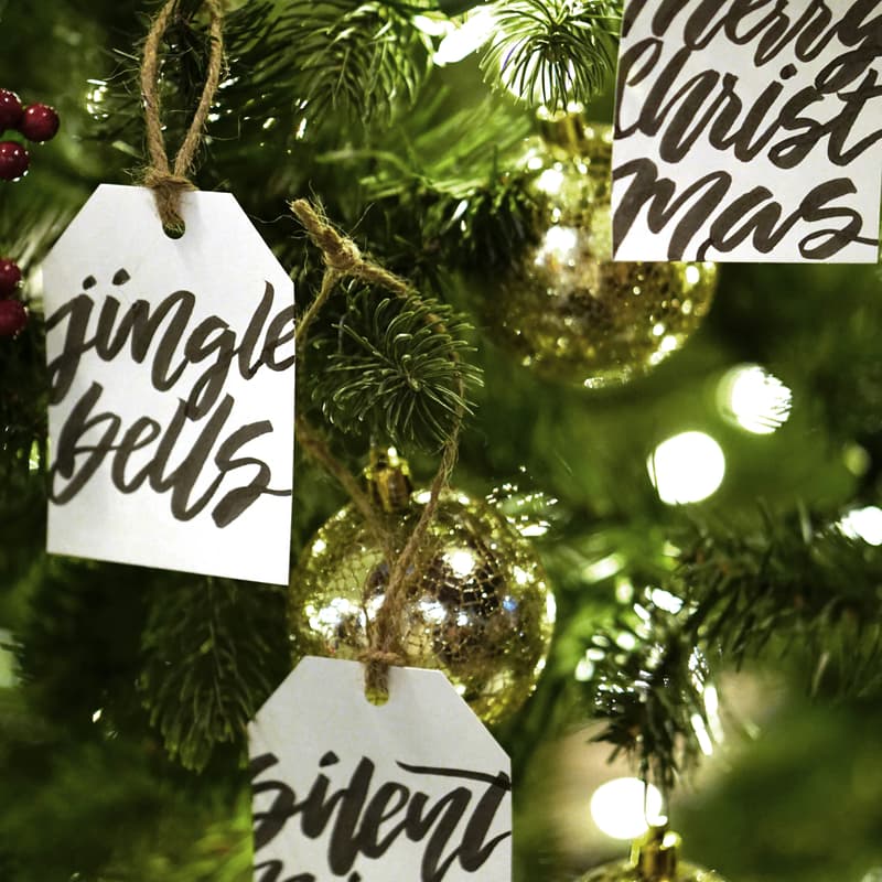 Cover Image for Holiday Calligraphy for Beginners with Sip & Script