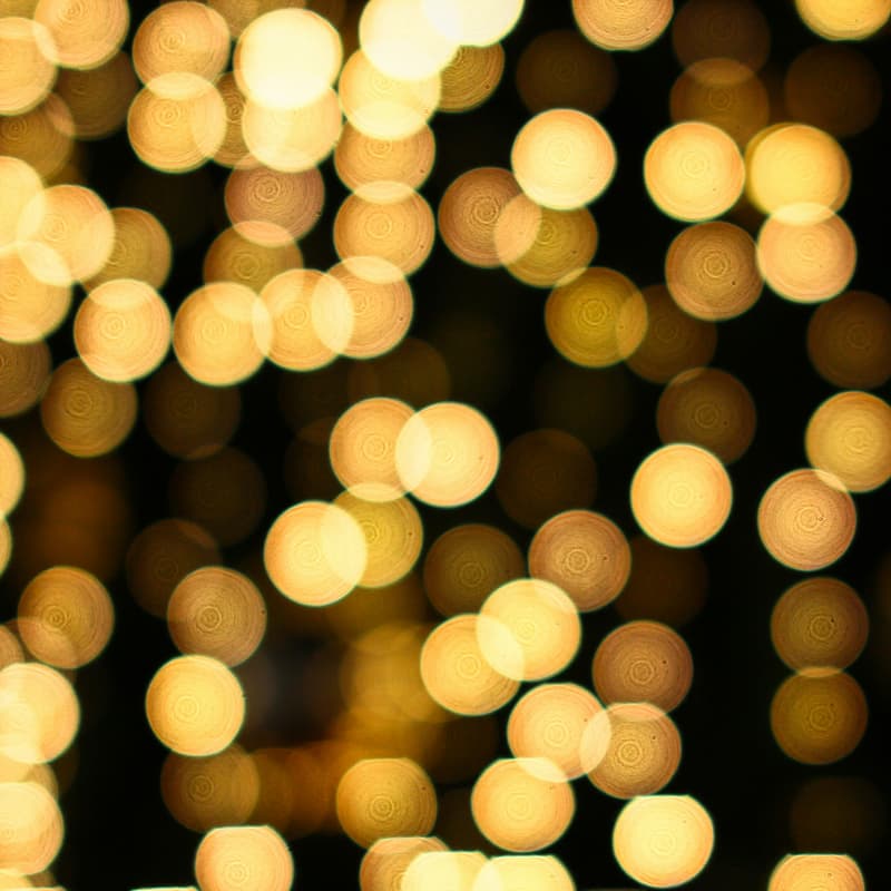 Cover Image for Winter Fundraiser Dinner