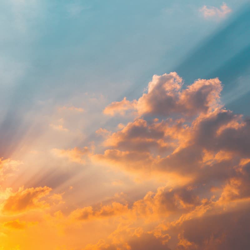 Cover Image for Under the Same Sky