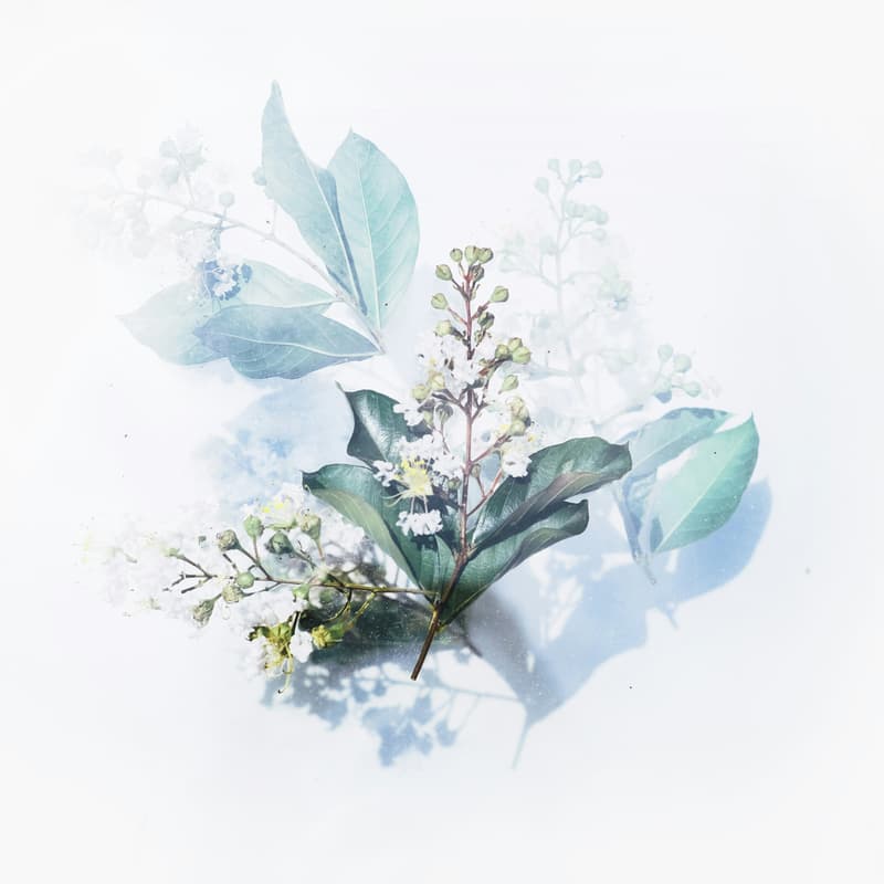 Cover Image for Watercolor Class