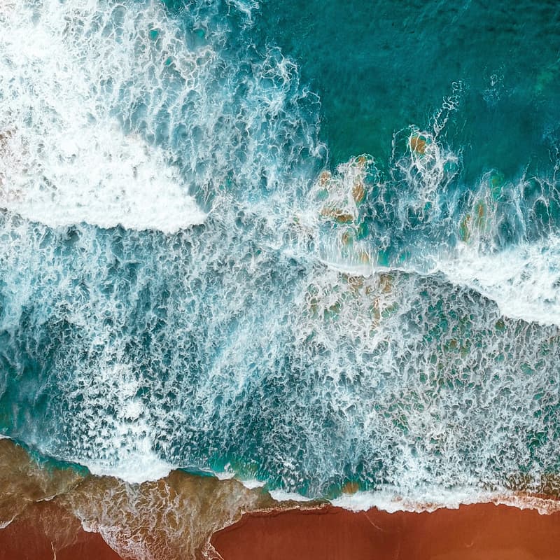 Cover Image for Surfrider Earth Day Beach Cleanup