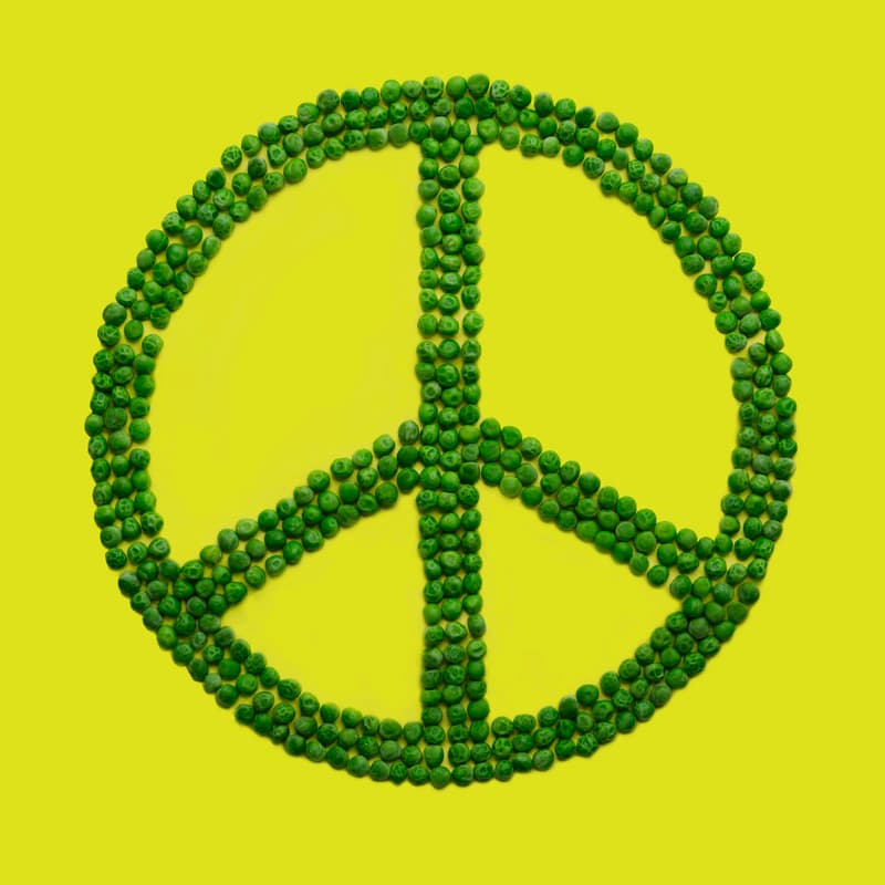 Cover Image for European Peace Congress - Opening event & Kick-off