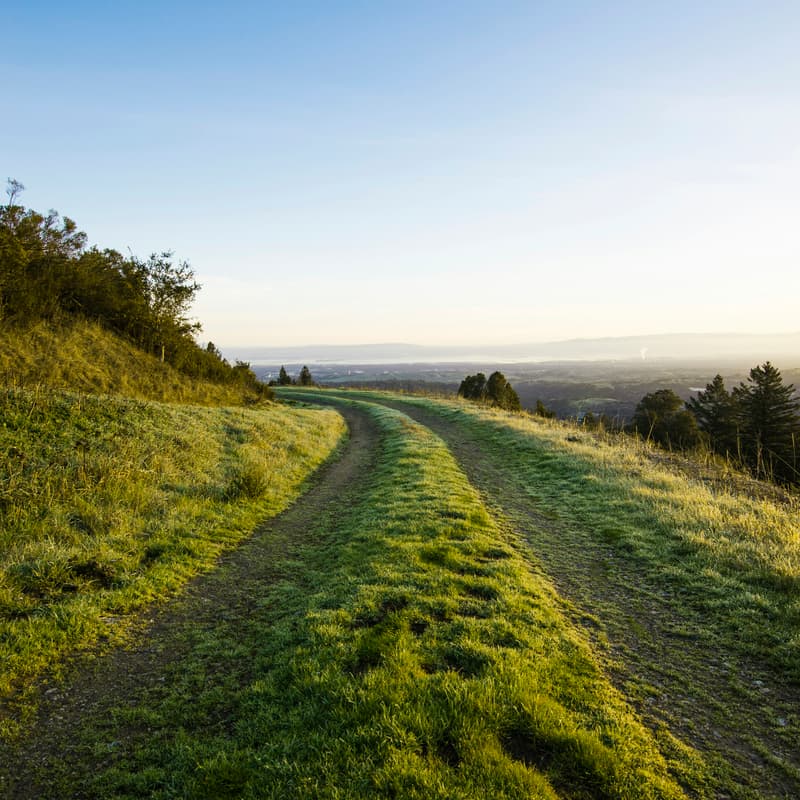 Cover Image for Portola Valley Hike