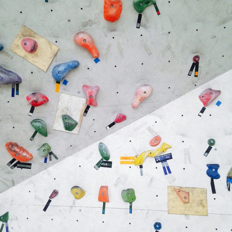 Cover Image for Bouldering at Bouldergarten