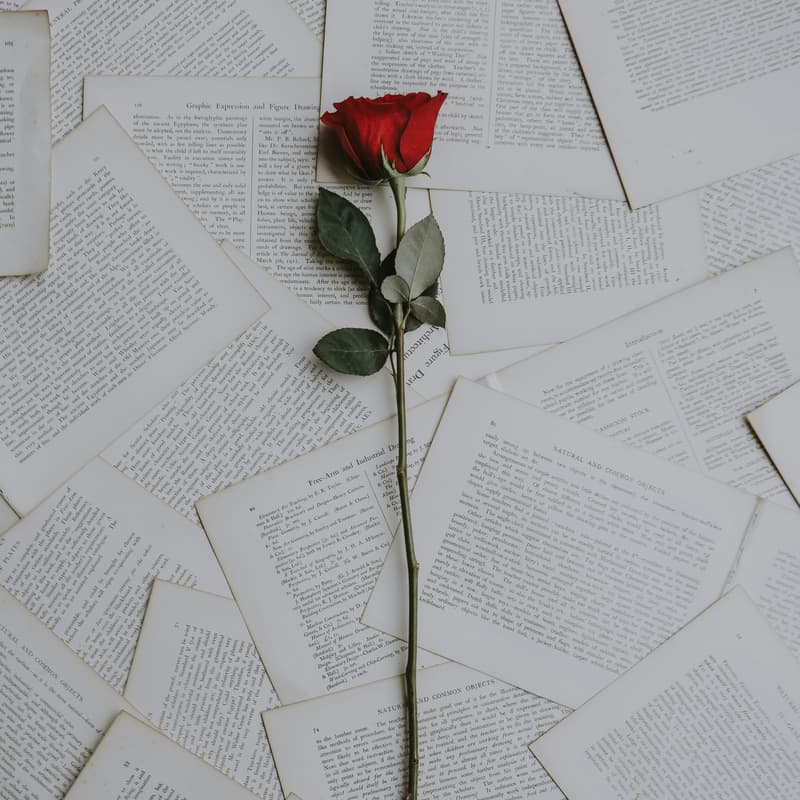 Cover Image for Poetry Night