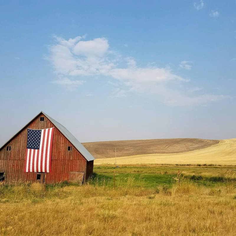 Cover Image for Rural America Innovation