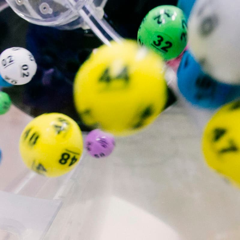 Cover Image for TLN Launch: Summer Bingo Social