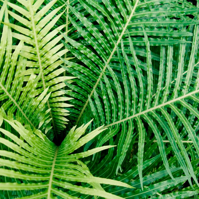 Cover Image for TechBio Nashville Hike