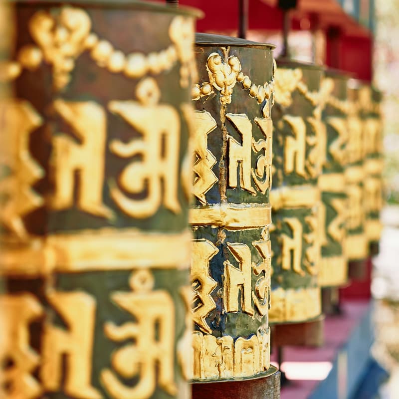 Cover Image for Friends of Bhutan Sync: 2026 Kick off