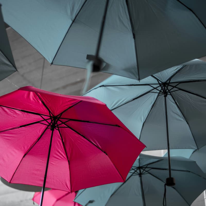 Cover Image for Protect What You're Building: Insurance & Financial Risk Management for Women | Amsterdam/Haarlem