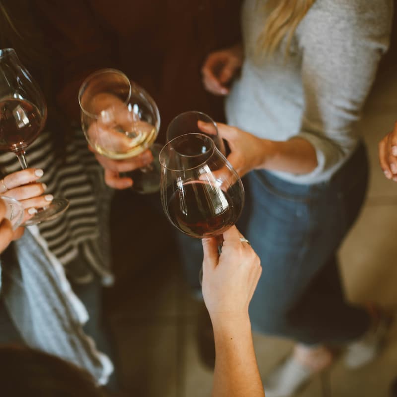 Cover Image for Women, Wine and Wellness