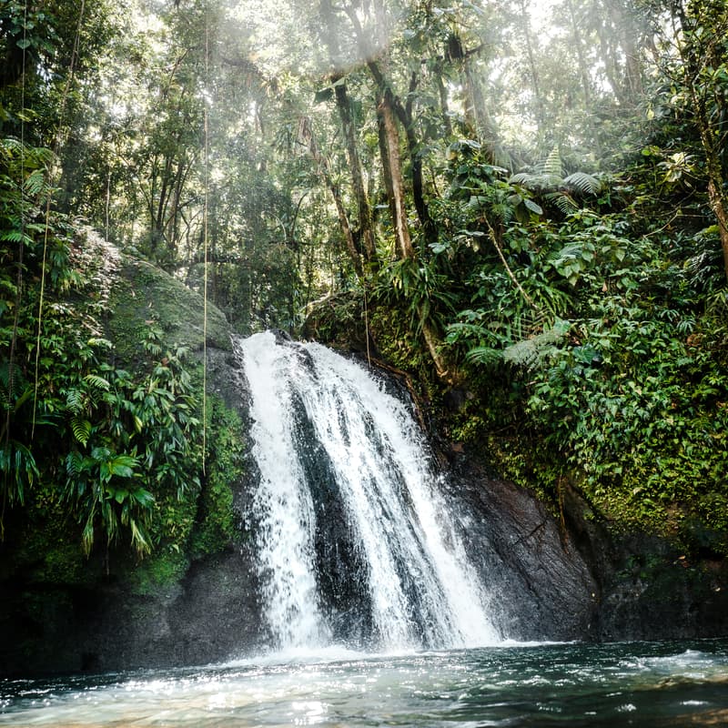 Cover Image for 🌲 End-of-Year Hike to Tacugama Waterfall 🌊