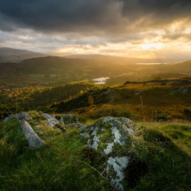 Cover Image for Online Info Session - Beyond The Irish Question
