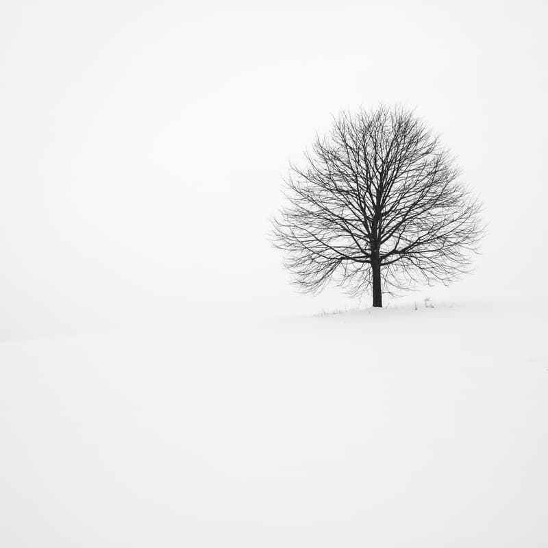Cover Image for Fredagsbar - Januar