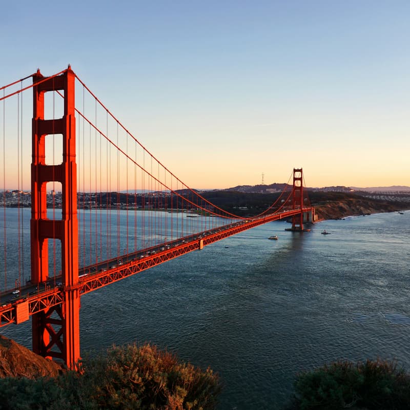 Cover Image for The SF Grind: VC Q&A