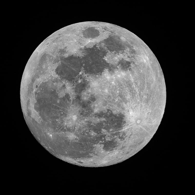 Cover Image for Snow Full Moon Walk