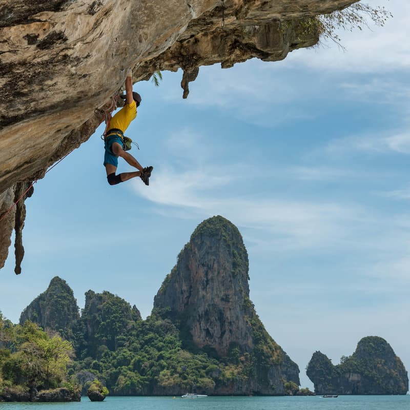 Cover Image for London Biotech Boulderers