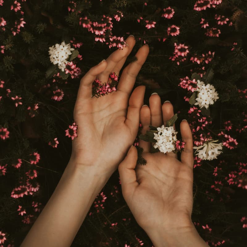Cover Image for “After the Hurt: Boundaries, Healing, and Finding Yourself Again”