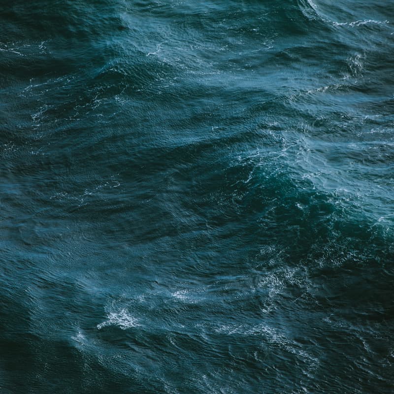 Cover Image for Working together for effective Marine Protected Areas: the Mediterranean Sea as a "hope spot" for change