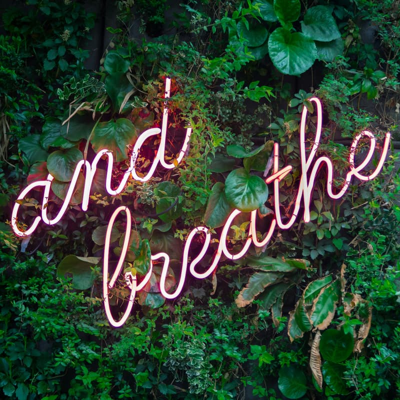 Cover Image for Breathe & Build