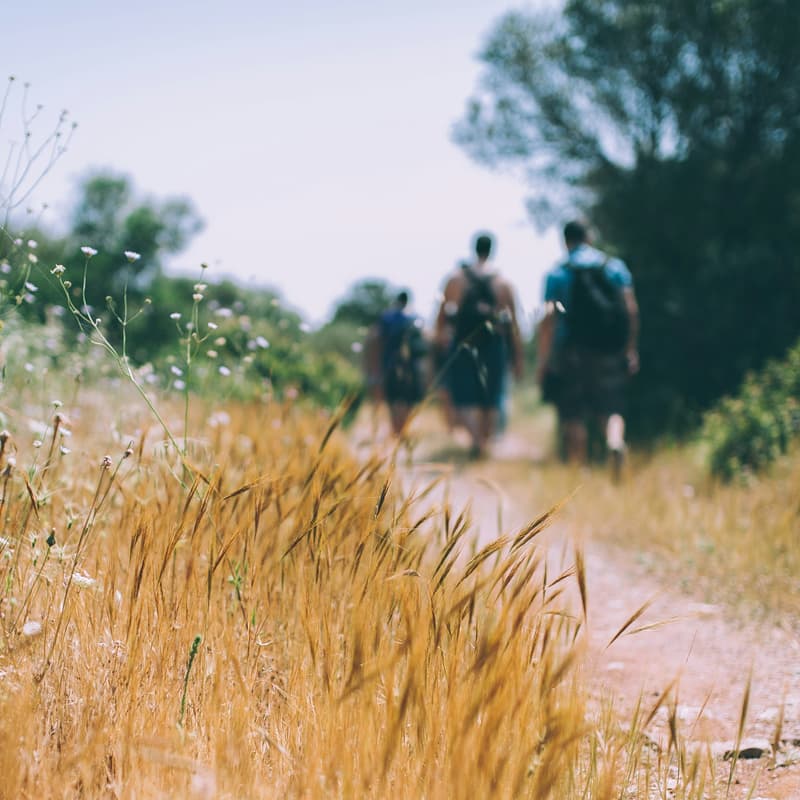 Cover Image for Startup Hike!