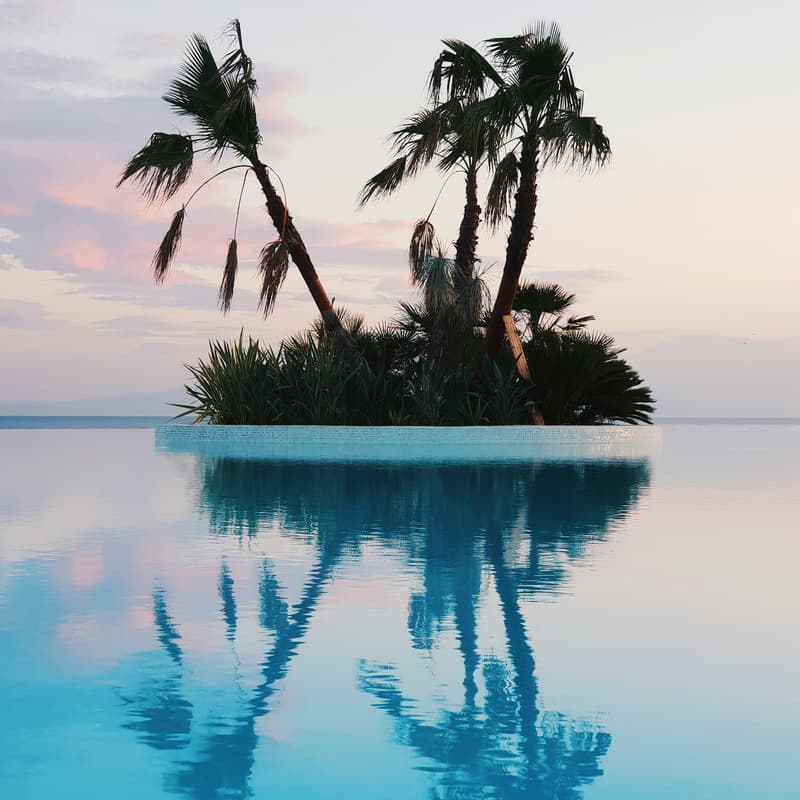Cover Image for Island DAO is coming to Floripa, first stop: The Artizen House