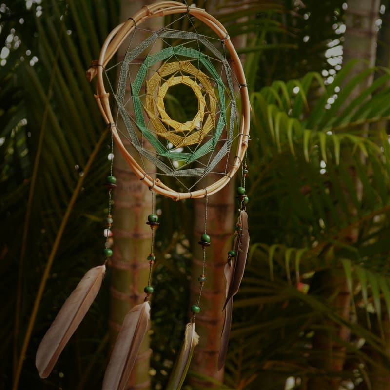 Cover Image for FIRESIDE CHAT with Erik Casano: An Introduction to Breathwork and Lucid Dreaming