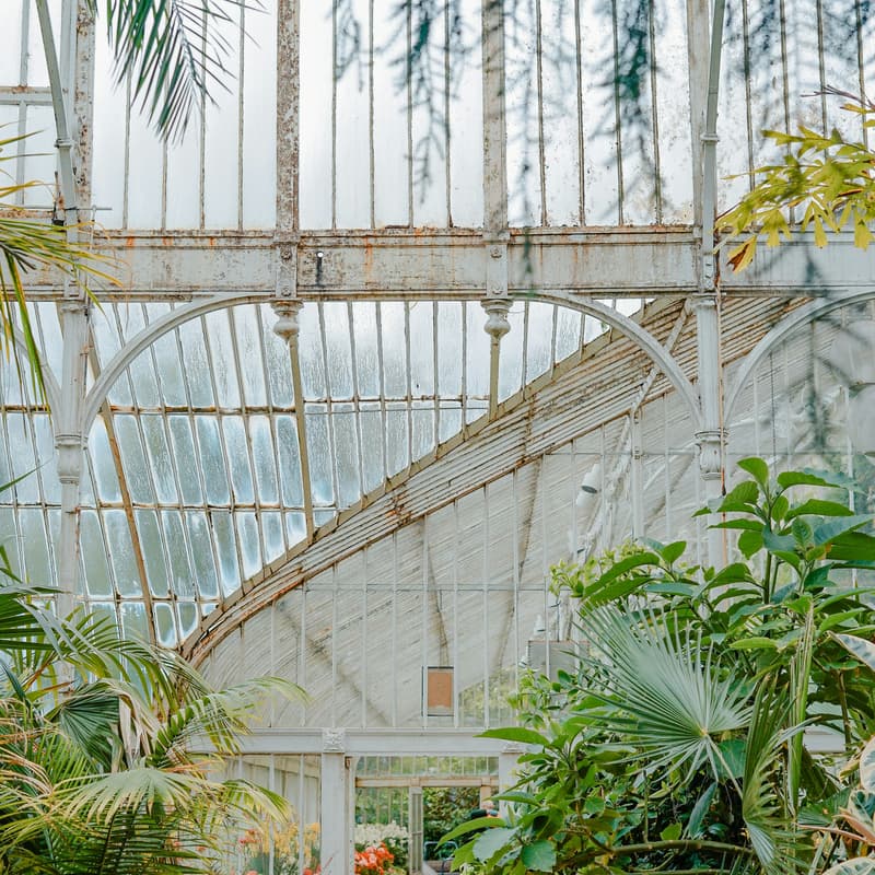 Cover Image for Volunteering Untapped NYC: New York Botanical Garden (October 2025)