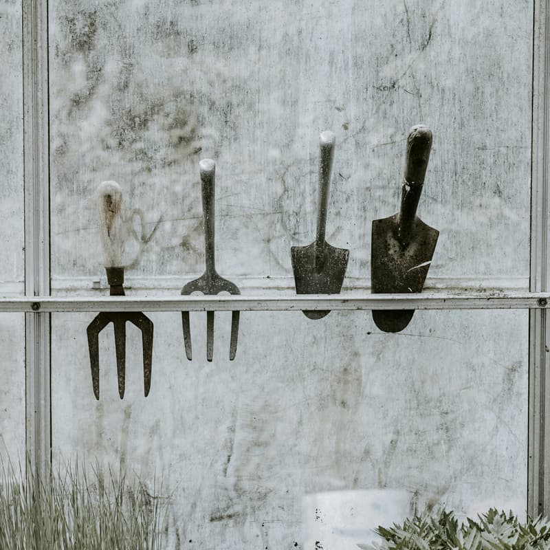 Cover Image for Got Climate Grief? Join FromSoil2Soul for an immersive Soundbath & Compost Ritual