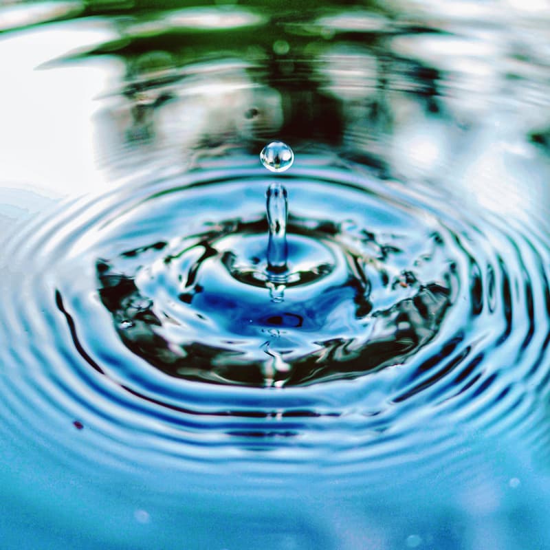 Cover Image for Data intelligence for a nature-positive ecosystem — holistic water (& pest) management at canton scale