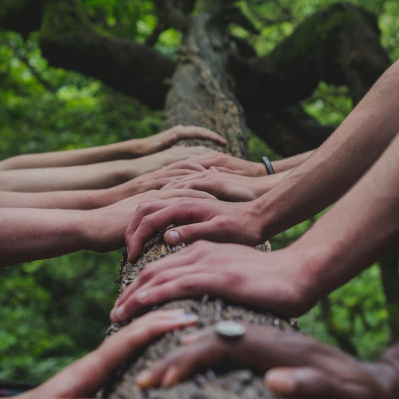 Cover Image for Soapbox gets its hands dirty with Dirt Corps